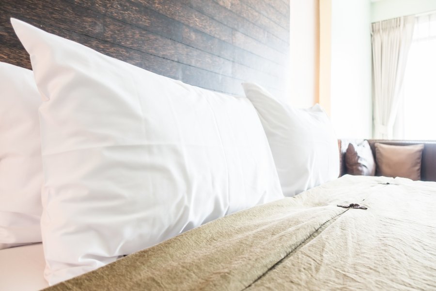 The Different Types Of Organic Pillows